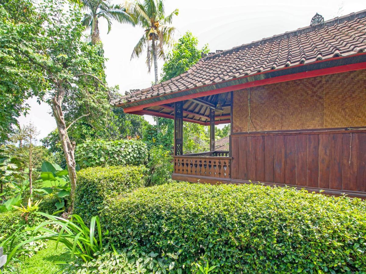 Oyo Homes 91091 Desa Wisata Umejero Munduk  Exterior photo