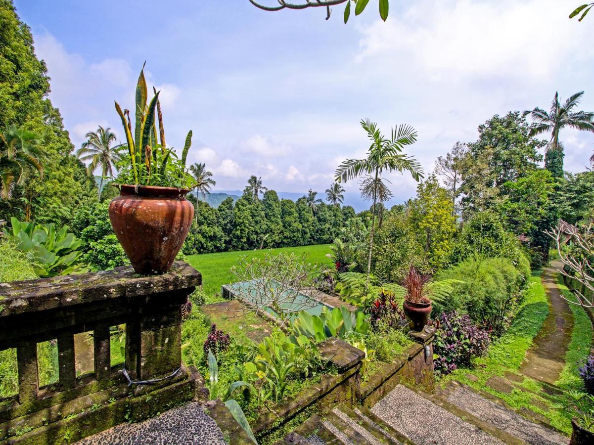 Oyo Homes 91091 Desa Wisata Umejero Munduk  Exterior photo